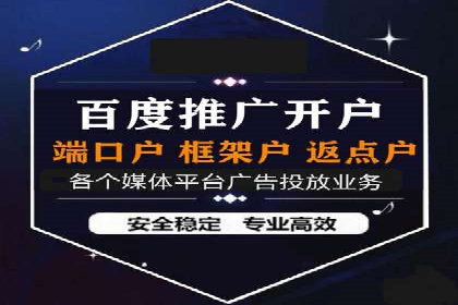 SEM运营公司成功案例解析